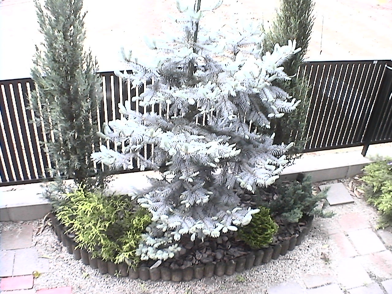 コニファーガーデン 手作りガーデニング日記